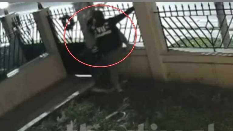 Ο &quot;κλέφτης&quot; των Χριστουγέννων: Αρπαξε δέντρο και στολίδια από αυλή σπιτιού στη Θεσσαλονίκη [βίντεο]