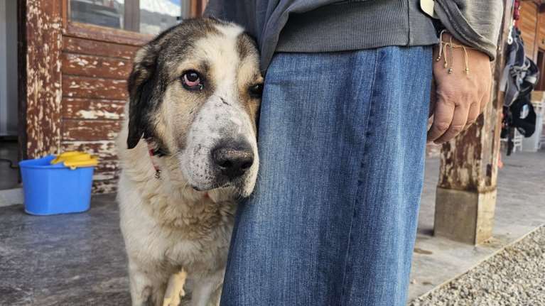 Αλέξανδρος: Ζούσε αυτή τη ζωή που η μια μέρα διαδέχεται την άλλη με μοναξιά, απέραντη και απόλυτη μοναξιά