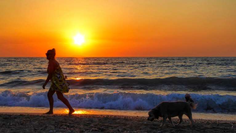 Εγινε κι αυτό: 30χρονος στη Θεσσαλονίκη ζητούσε 5.000 ευρώ από γυναίκα γιατί δήθεν τον δάγκωσε ο σκύλος της