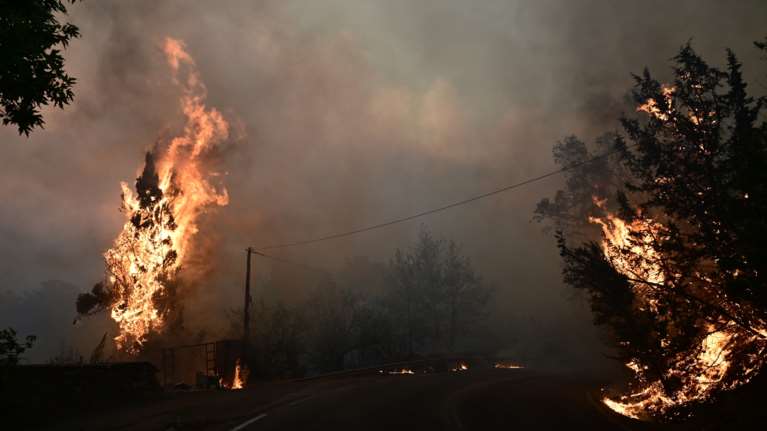 Φωτιά σε αγροτική έκταση στην Αρκαδία