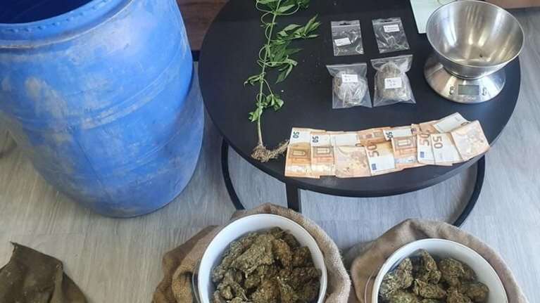 Κρήτη: Πατέρας και γιος συνελήφθησαν για δενδρύλια και χασίς - Έκρυβαν τα ναρκωτικά σε θάμνο [εικόνες]