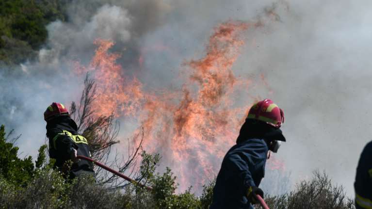 Σε εξέλιξη βρίσκεται δασική πυρκαγιά στην Επίδαυρο