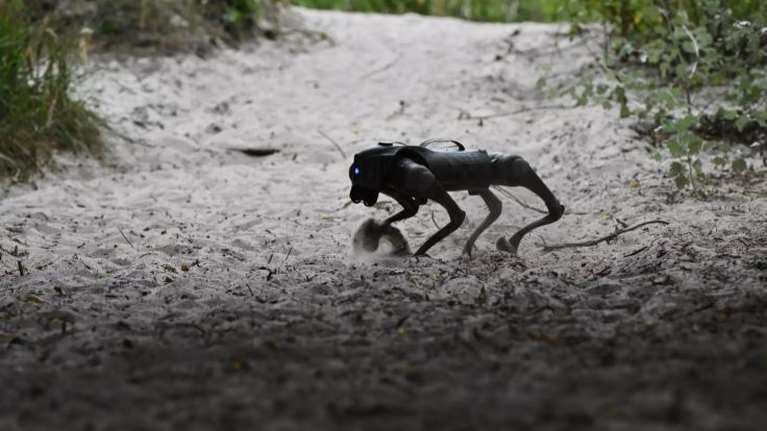 Ουκρανία: Ευκίνητοι και &quot;αθέατοι&quot;, σκύλοι-ρομπότ αναλαμβάνουν &quot;επικίνδυνες αποστολές&quot; στο μέτωπο