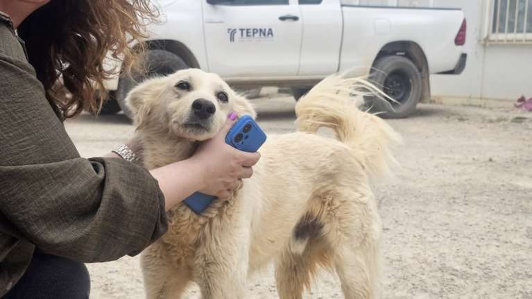 Φοξ: Νιώθεις σαν να έχεις πιάσει τον άνεμο στα χέρια σου, σαν να κρατάς δανδελίωνα