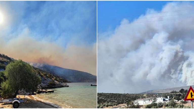 Μεγάλη φωτιά στον Πρόδρομο Βοιωτίας: Εκκενώθηκε η παραλία Σαράντη - Πνέουν άνεμοι 9 μποφόρ