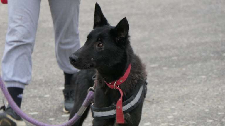 Μπέττυ: Την κοιτάς και αντιλαμβάνεσαι πως δεν είχε ποτέ στη ζωή ούτε μισή ευκαιρία. Ποτέ και από κανέναν