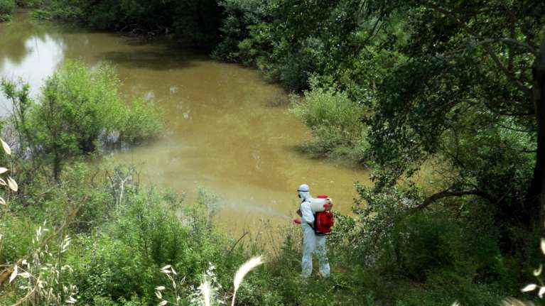 Οδηγίες ΕΟΔΥ: Πώς να προφυλαχθείτε από τα κουνούπια και τον ιό του Δυτικού Νείλου