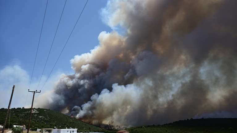 Καθηγητής Δασολογίας: Εως και 30 χρόνια θα χρειαστούν τα οικοσυστήματα για να επανακάμψουν