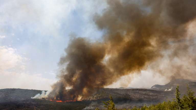 Ανάλυση: Πώς και γιατί η Τουρκία έμεινε χωρίς πυροσβεστικά αεροσκάφη- Η κόντρα Ερντογάν με την Αεροναυτική Ενωση