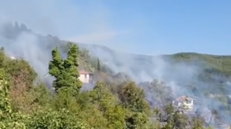 Φωτιά στη Ναυπακτία: Κοντά σε οικισμό οι φλόγες - Ζημιές σε τέσσερα σπίτια από την πυρκαγιά σε δασική έκταση [Βίντεο]