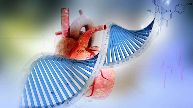 Πώς επιτυγχάνεται η εξατομικευμένη θεραπεία στα καρδιαγγειακά νοσήματα;