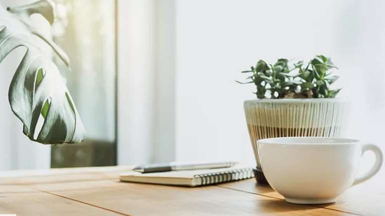 8 βότανα που βοηθούν στην απαλλαγή του οργανισμού από τις τοξίνες