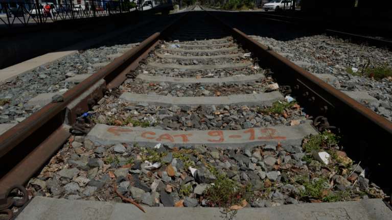 Συναγερμός στον Έβρο: Αμαξοστοιχία προσέκρουσε σε δέντρο - Σε εξέλιξη η εκτίμηση της ζημιας