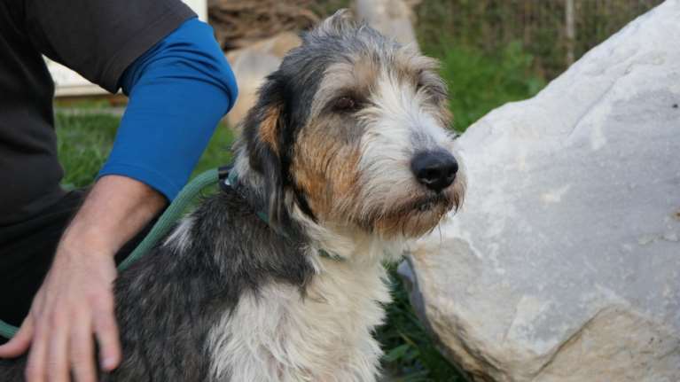 Η Τίλντα εγκαταλείφθηκε μαζί με τα νεογέννητα μωρά της: Από τι να τα πρωτοπροστατεύσει και από τι να πρωτοπροστατευτεί και η ίδια