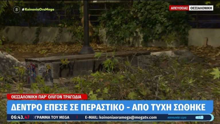 Θεσσαλονίκη: Κλαδί από δέντρο έπεσε σε περαστικό που καθόταν σε παγκάκι [βίντεο]