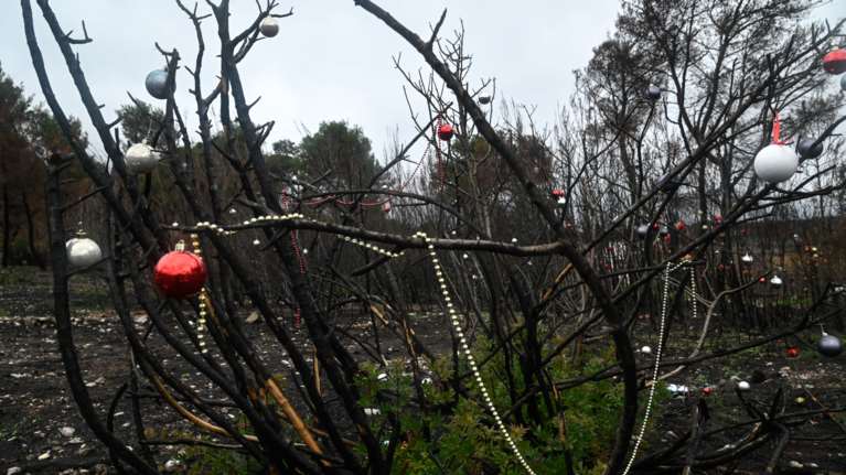 Βαρυμπόμπη: Στόλισαν τα καμένα δέντρα οι κάτοικοι της περιοχής [Εικόνες]