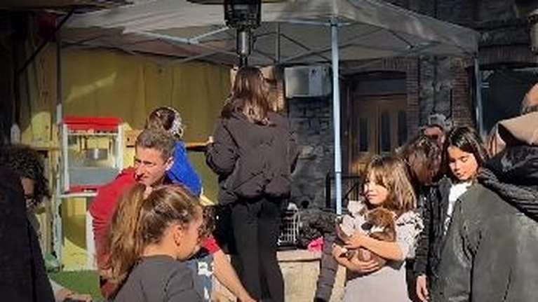 Δράσεις προστασίας για τα αδέσποτα ζώα, με τη συμμετοχή κυρίως μικρών παιδιών