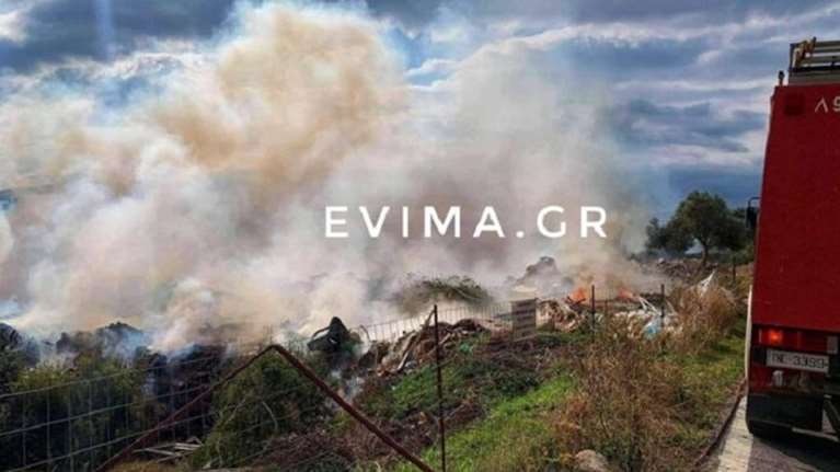 Εύβοια: Συναγερμός στην πυροσβεστική για φωτιά στην Κάρυστο Ευβοίας