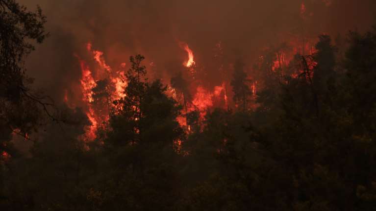 Οι τελευταίες εξελίξεις από τα πύρινα μέτωπα: Δύσκολη νύχτα για την Εύβοια - Παρατείνεται η ΠΝΠ