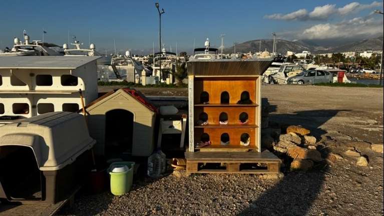 Μια υπέροχη κίνηση - Ενα μικρό χωριουδάκι με πολυώροφα γατόσπιτα για αδέσποτα από εθελοντές στη Γλυφάδα