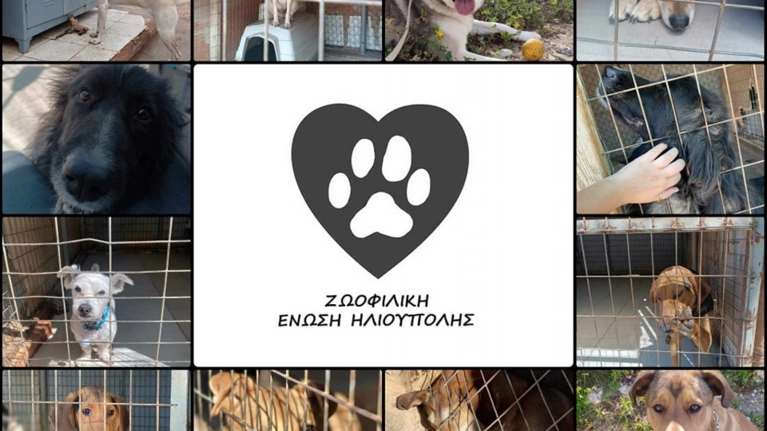 Το πρώην σπίτι του Πίνατ κλείνει - Η ανάρτηση της ΖΕΗΛ για το καταφύγιο αδέσποτων ζώων στο δήμο Ηλιούπολης