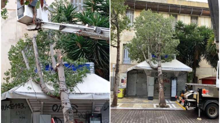 Ηράκλειο: Ξεριζώθηκε δέντρο και έπεσε σε περίπτερο [εικόνες - βίντεο]