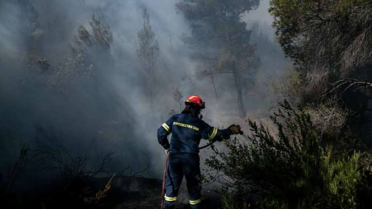 Φωτιά σε δασική έκταση στο Αρχοντικό Λακωνίας - Επιτόπου ισχυρές δυνάμεις της Πυροσβεστικής