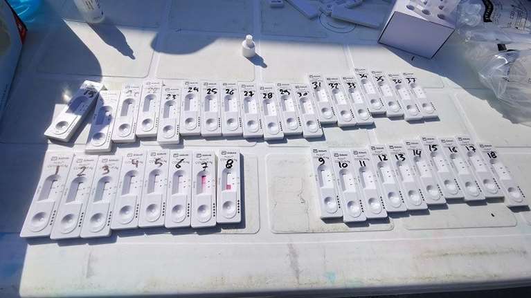 Κορονοϊός: Σε επιφυλακή η Εύβοια μετά το πρώτο κρούσμα της μετάλλαξης &quot;Δέλτα&quot;