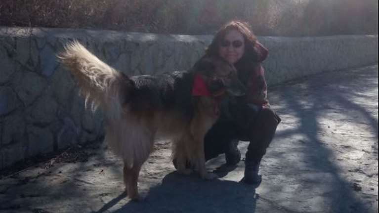 &quot;Πρέπει να σας ενημερώσω…&quot;: Συγκλονίζει εντατικολόγος για το πώς ανακοινώνει τους νεκρούς από κορονοϊό στις οικογένειές τους