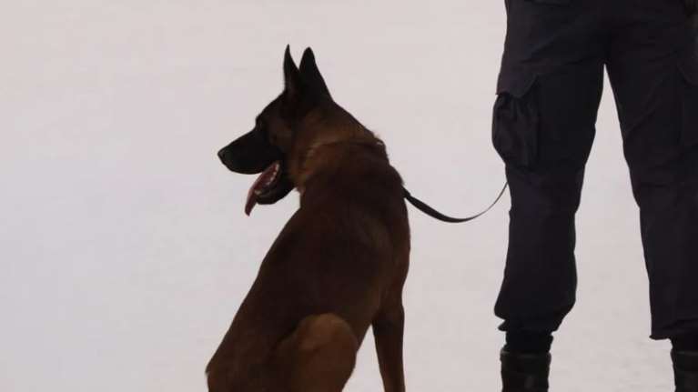 Ηράκλειο: Drone και σκύλος της ΕΜΑΚ στις έρευνες για 49χρονη γυναίκα που αγνοείται