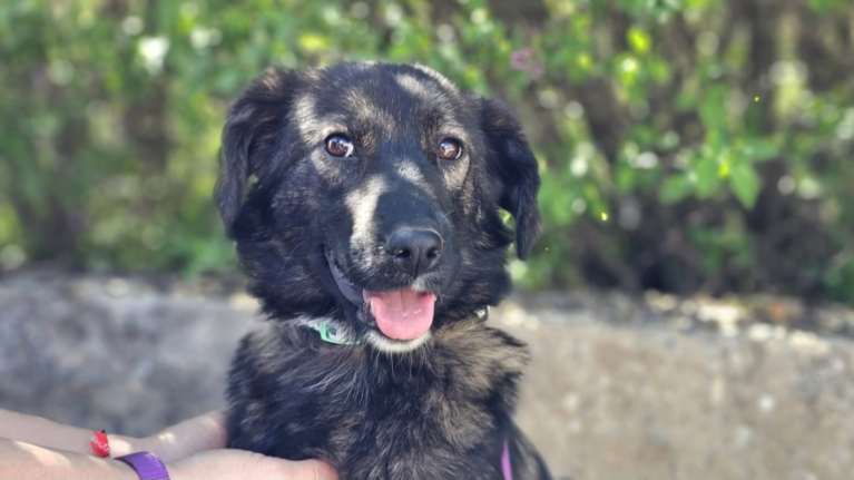 Την έβγαλαν Μακαρένα θεωρώντας πως το όνομα θα λειτουργήσει σαν θετική ενέργεια που θα την κάνει να σηκωθεί