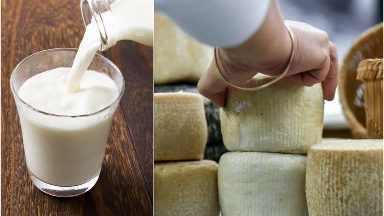 Γάλα: Φόβοι για ελλείψεις σε τυριά και γιαούρτια λόγω μειωμένης παραγωγής [Βίντεο]