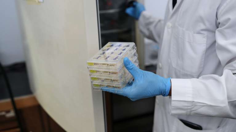 Κορονοϊός: Θετική γυναίκα εφοριακός στη Λάρισα - Το 9ο κρούσμα σε 24 ώρες