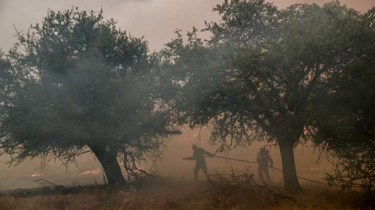 Φωτιά τώρα στην Ιεράπετρα; Μεγάλη κινητοποίηση της Πυροσβεστικής [Βίντεο]