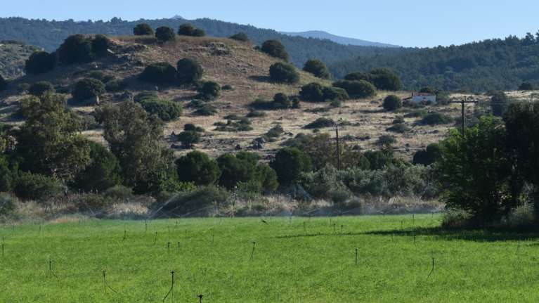 Μυτιλήνη: Ανασκαφές για να αναδειχθεί η αρχαία Αρίσβη -  Μια από τις έξι αρχαίες αιολικές πόλεις - κράτη  της Λέσβου
