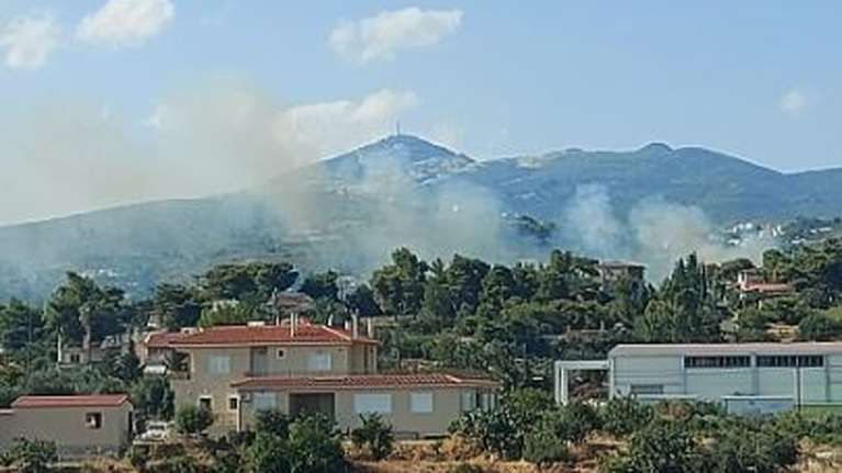 Φωτιά σε οικόπεδα στην Παλλήνη - Επί τόπου 15 πυροσβέστες