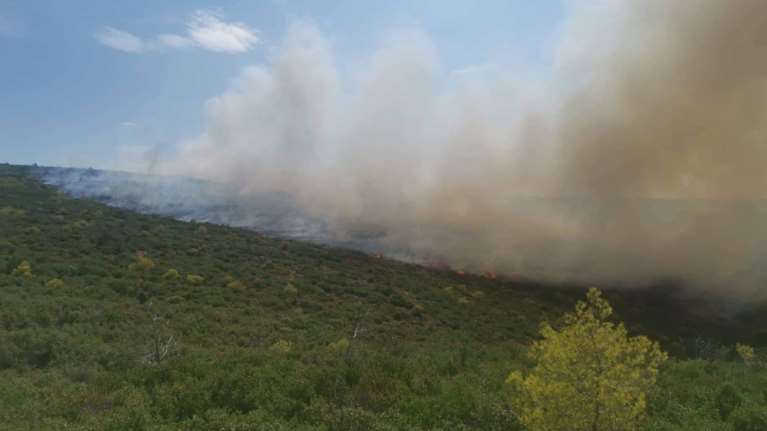 Συναγερμός στην Πυροσβεστική: Φωτιά κοντά σε κατασκήνωση στο Γραμματικό - Ενισχύθηκαν οι δυνάμεις