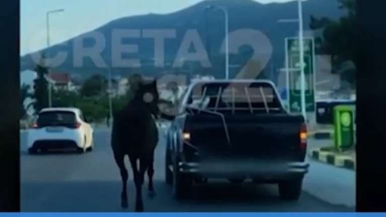 Εξοργιστικό: Ασυνείδητος έδεσε άλογο με σκοινί στο αγροτικό και οδηγούσε σε κεντρικό δρόμο - Τρομαγμένο έχανε τον βηματισμό του