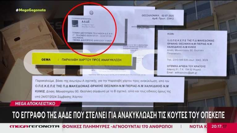 ΟΠΕΚΕΠΕ: Έστειλαν στην ανακύκλωση κούτες με έγγραφα του οργανισμού [βίντεο]