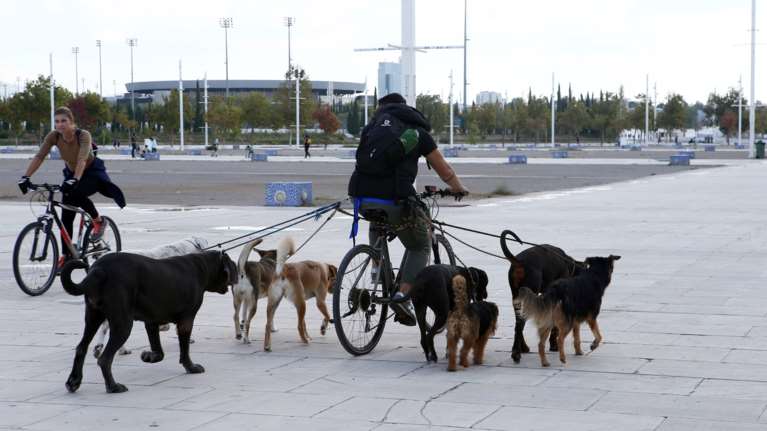 Πώς δεν θα προκύψουν επιπλέον έξοδα για τα κατοικίδια σας - Πώς μπορούμε να εξοικονομούμε χρήματα