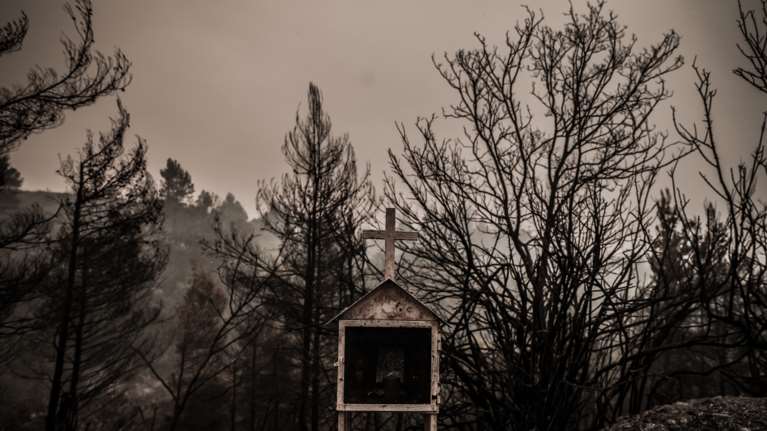 Φωτιές: Ο &quot;δεκάλογος&quot; της WWF Ελλάς για την επόμενη ημέρα - Πως θα θωρακιστεί η χώρα