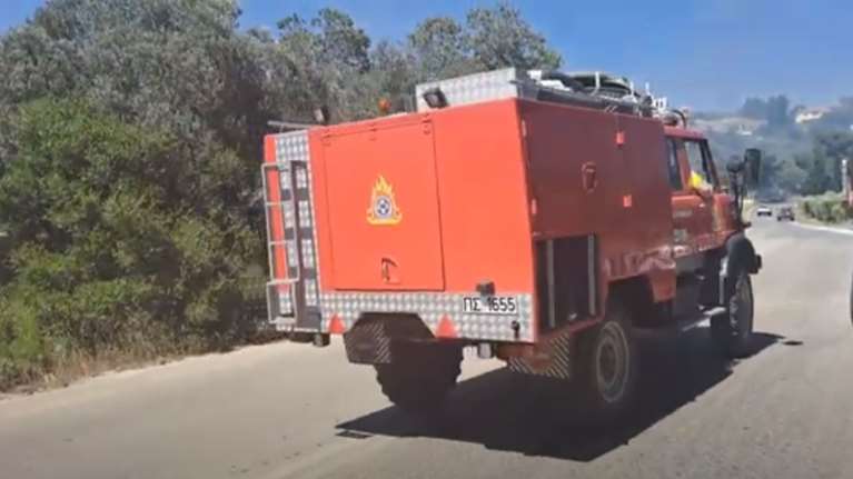 Φωτιά  σε δασική έκταση στη Μεσσηνία: Κινητοποιήθηκαν επίγειες και εναέριες δυνάμεις