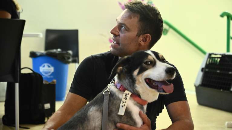 Κασσελάκης: Επέστρεψε στο σπίτι με παρέα για τη Φάρλι - Υιοθέτησε σκύλο από δομή φιλοξενίας πυρόπληκτων κατοικιδίων