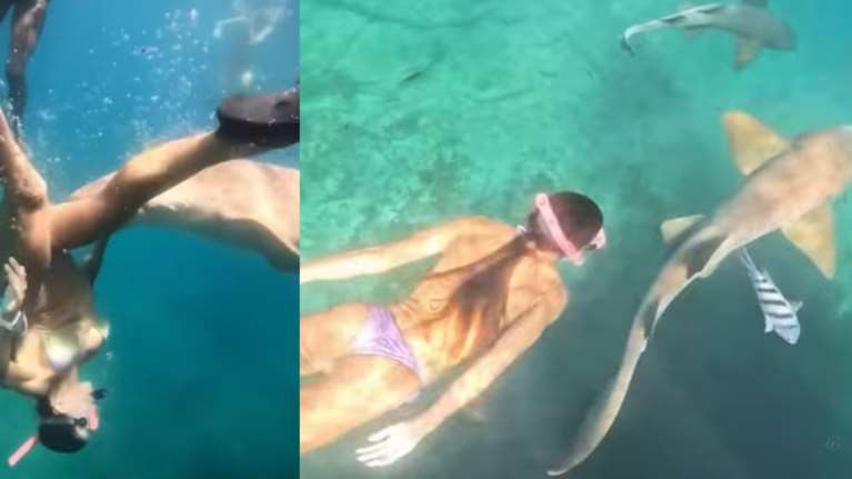 Τρομακτικό βίντεο: Η στιγμή που καρχαρίας δαγκώνει και "κλειδώνει" το πόδι γυναίκας που κάνει καταδύσεις