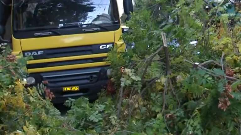 Φορτηγό ξερίζωσε δέντρο στην Πατησίων - Κυκλοφοριακό κομφούζιο στην περιοχή [βίντεο]