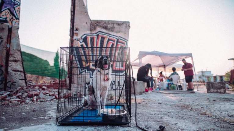 Το δύσκολο παρελθόν του Λέμυ που δεν μπορεί να υιοθετηθεί - Η ιστορία του