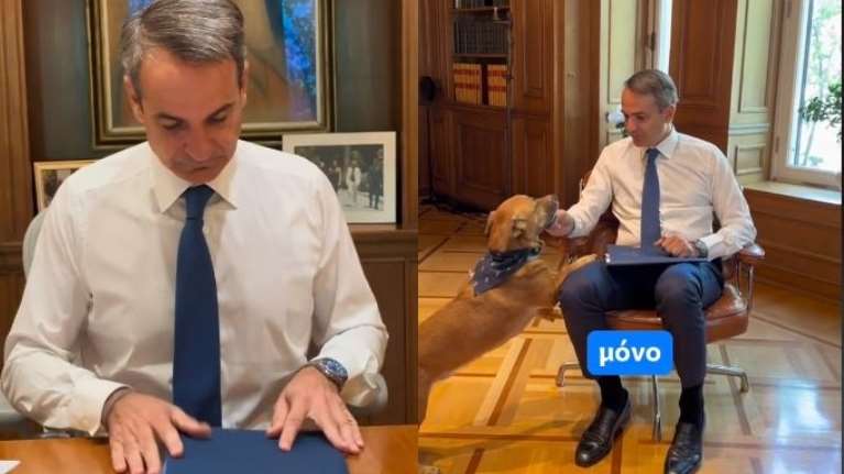 Μητσοτάκης στο Tik Tok: Εξηγεί τι είναι ο περιβόητος μπλε φάκελος- "Θα πάρει και o Peanut ένα γιατί είναι κομματόσκυλο"