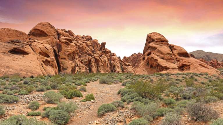 Απίστευτο: Πού καταγράφηκηκε η υψηλότερη θερμοκρασία στον πλανήτη εδώ και 100 χρόνια - "Έσπασε" το θερμόμετρο