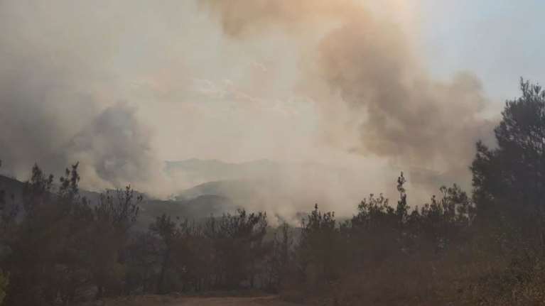 Εκτός ελέγχου η φωτιά στο δάσος Δαδιάς: Στάχτη μέχρι στιγμής 8.000 στρέμματα - &quot;Δεν εξελίσσεται καλά&quot; [Βίντεο]