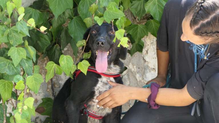 Ο Πητ άρχισε να ζει μετά από εισαγγελική εντολή: Τους ανθρώπους τους &quot;χρησιμοποιεί&quot; σαν ασπίδα για να νιώσει ασφάλεια